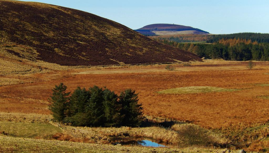 Scotland Paradise Relax Accommodation By Shooting Club Kirriemuir Balintore  Exterior foto