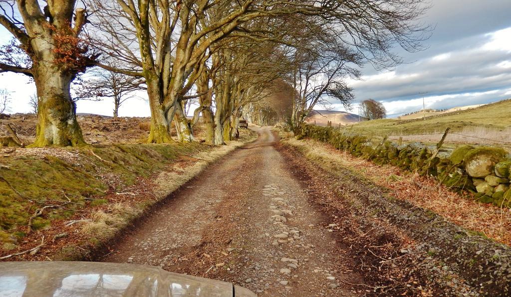 Scotland Paradise Relax Accommodation By Shooting Club Kirriemuir Balintore  Exterior foto