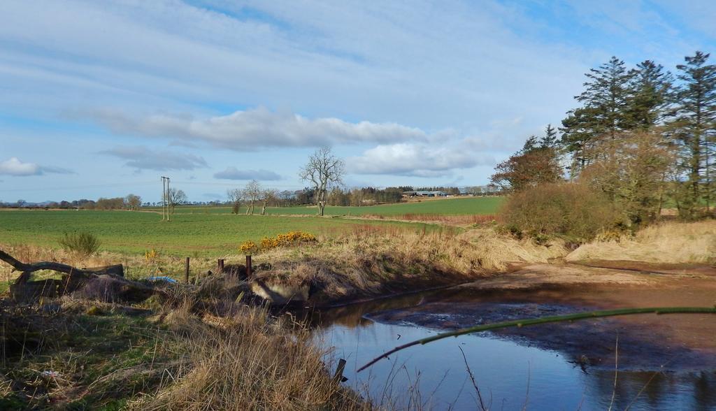 Scotland Paradise Relax Accommodation By Shooting Club Kirriemuir Balintore  Exterior foto