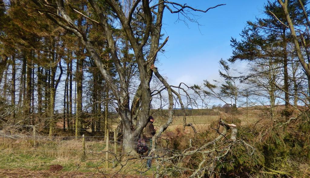 Scotland Paradise Relax Accommodation By Shooting Club Kirriemuir Balintore  Exterior foto